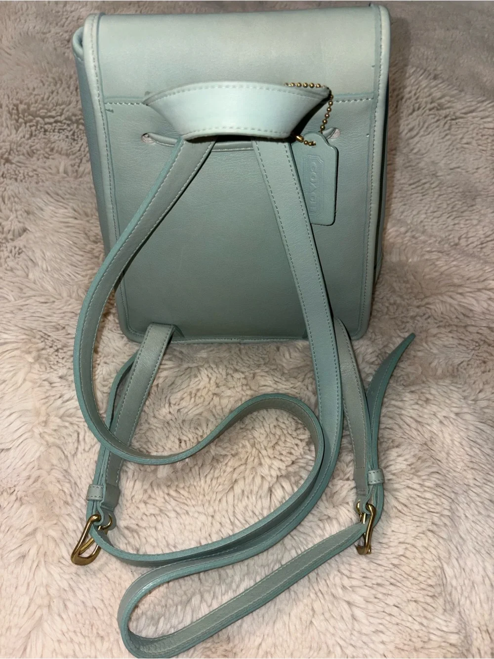 VTG (rare light green) PRISTINE COACH SMALL LEATHER DAYPACK